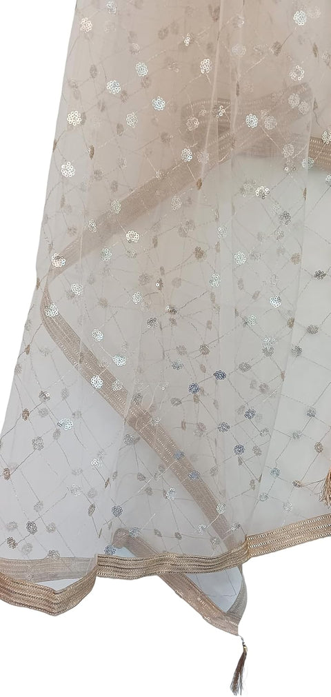 Traditional Embroidered Net Dupatta with Golden Border, Red Sequined Scarf, Diamond Pattern Dupatta, Chunni