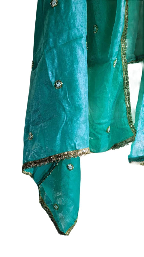 Fendi Fabric Dupatta with Bead Floral Work, Gota Lace Border