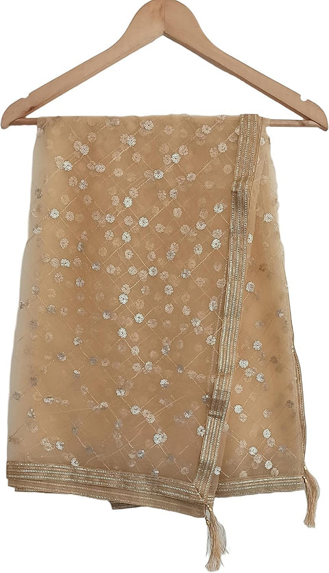 Traditional Embroidered Net Dupatta with Golden Border, Red Sequined Scarf, Diamond Pattern Dupatta, Chunni