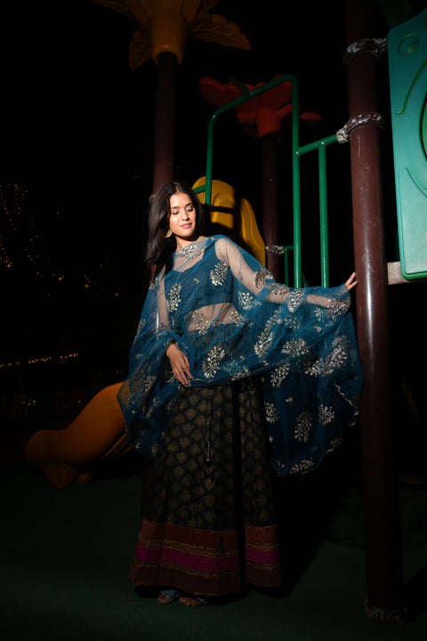 India Scarve's Net Cut Goldan Embroidered Floral Design Dark Blue Dupatta