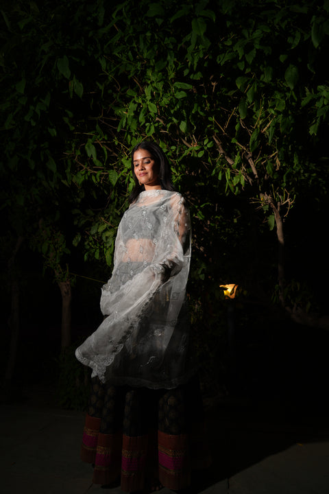 India Scarve's Net Cut Goldan Embroidered Floral Design  Dupatta