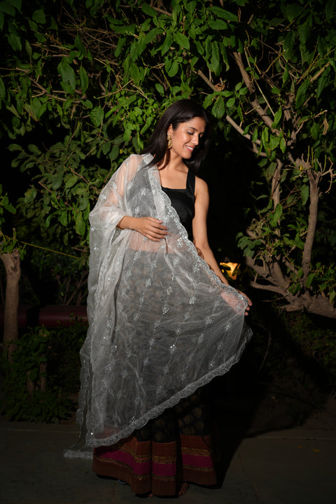 India Scarve's Net Cut Goldan Embroidered Floral Design  Dupatta