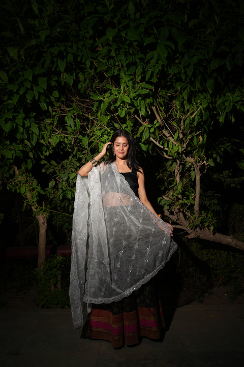 India Scarve's Net Cut Goldan Embroidered Floral Design  Dupatta