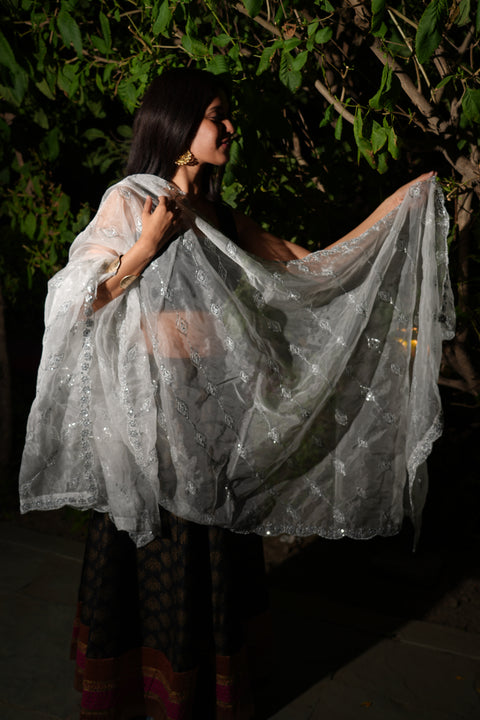 India Scarve's Net Cut Goldan Embroidered Floral Design  Dupatta