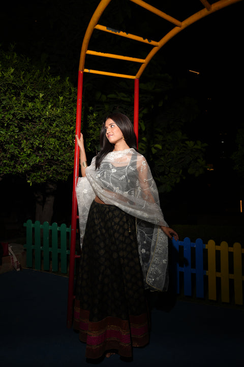 India Scarve's Net Cut Goldan Embroidered Floral Design  Dupatta