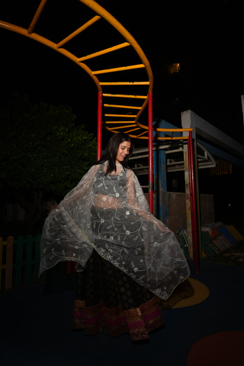 India Scarve's Net Cut Goldan Embroidered Floral Design  Dupatta