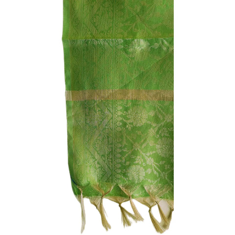 Close-up of Mint Green Banarasi Silk Dupatta — self-tone zari floral weave texture