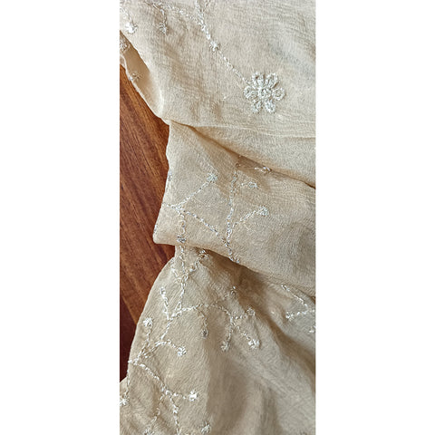 Soft Net with Exquisite Golden Branch Embroidery Dupatta