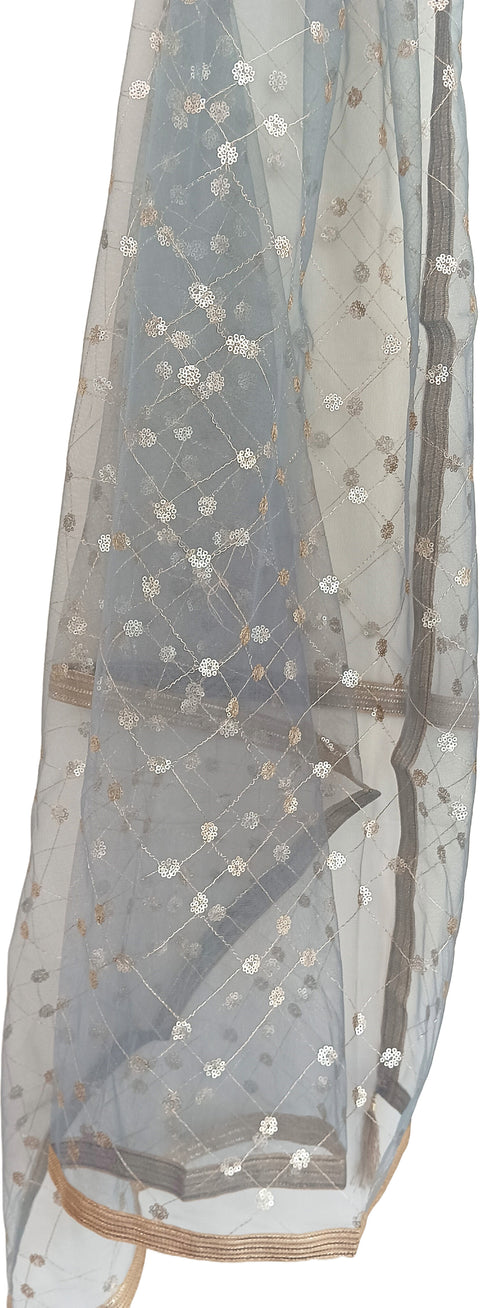 India Scarve's Nylon Net Embroidered Slate Colour Dupatta for Women - 240x100 cm