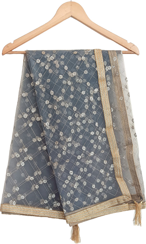 India Scarve's Nylon Net Embroidered Slate Colour Dupatta for Women - 240x100 cm