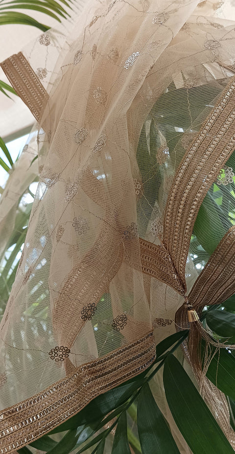 India Scarve's Nylon Net Embroidered Pale Yellow Colour Dupatta for Women - 240x100 cm