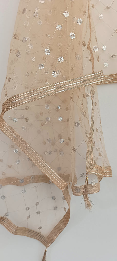 India Scarve's Nylon Net Embroidered Pale Yellow Colour Dupatta for Women - 240x100 cm