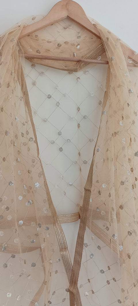 India Scarve's Nylon Net Embroidered Pale Yellow Colour Dupatta for Women - 240x100 cm