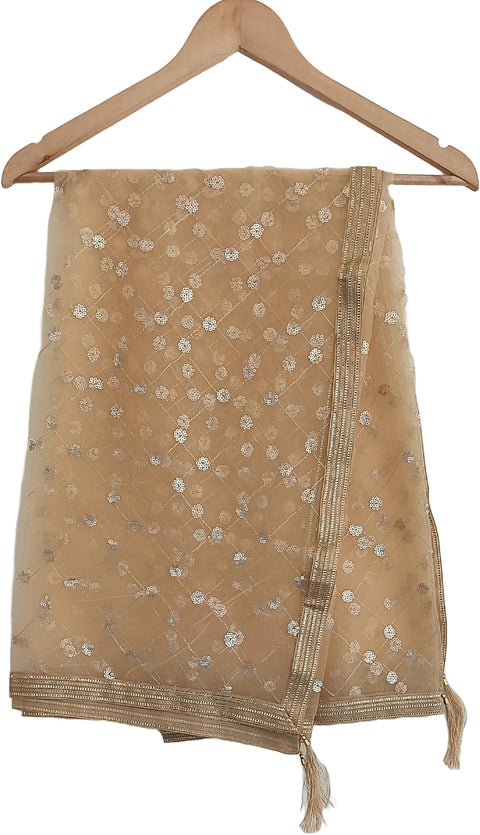 India Scarve's Nylon Net Embroidered Pale Yellow Colour Dupatta for Women - 240x100 cm