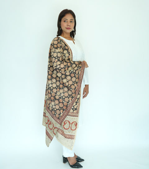 Indian Scarves Women's Kalamkari cotton stole Size 73x194 cm