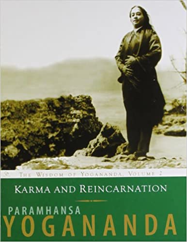 karma and Reincarnation Paperback – 1 January 2008